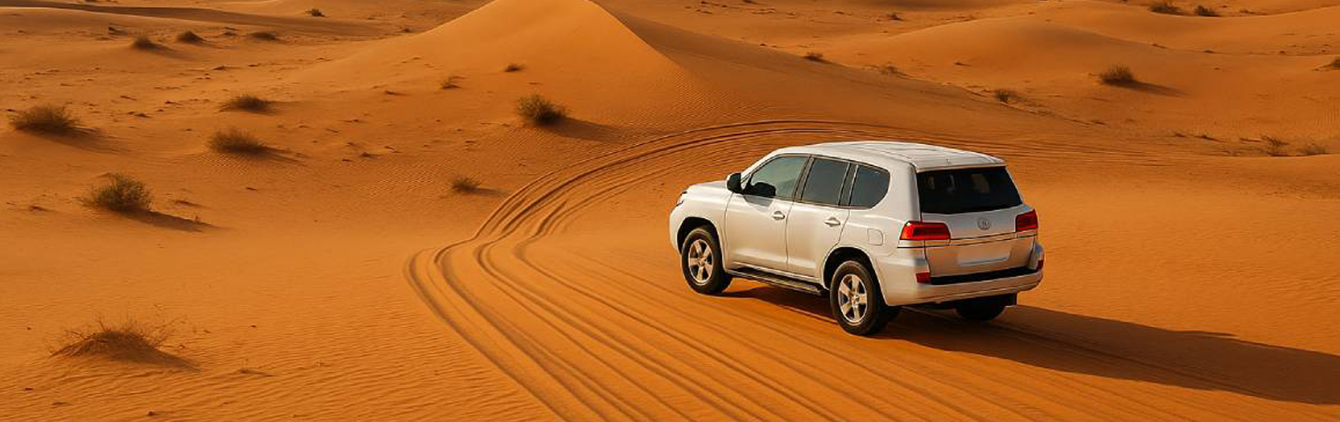 Shop Our New Collection